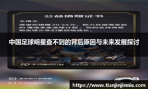 中国足球明星查不到的背后原因与未来发展探讨